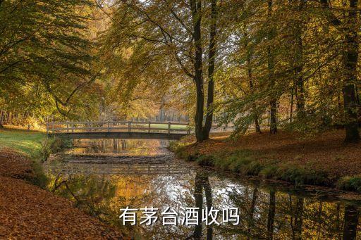 有茅台酒收吗