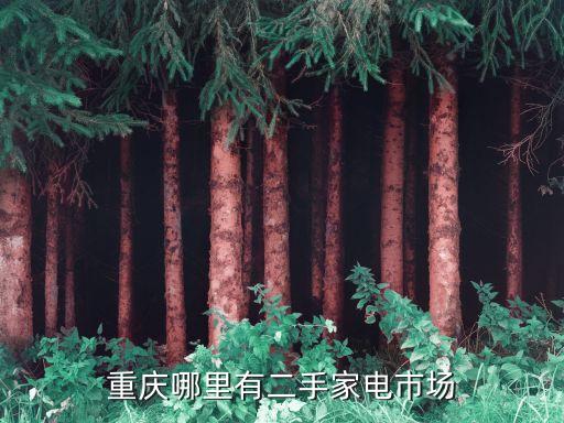 重庆哪里有二手家电市场