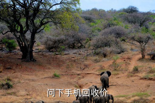 问下手机回收价