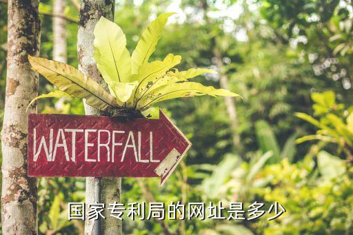 国家专利局的网址是多少