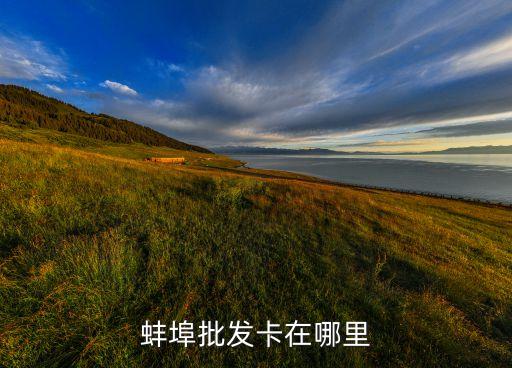 蚌埠批发卡在哪里