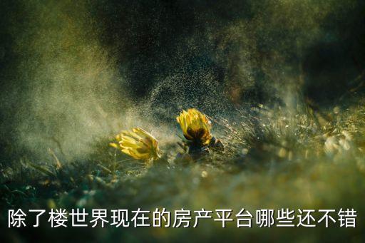 除了楼世界现在的房产平台哪些还不错