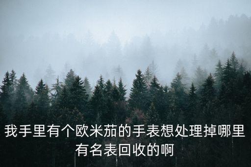 我手里有个欧米茄的手表想处理掉哪里有名表回收的啊