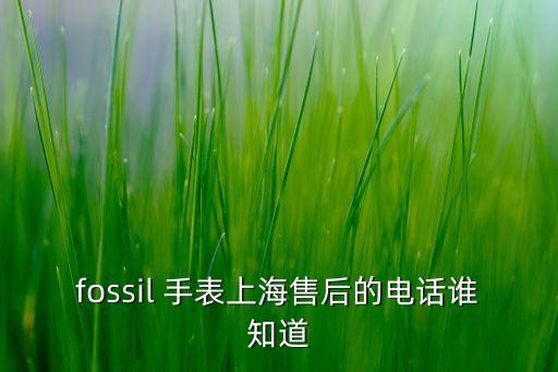 fossil 手表上海售后的电话谁知道