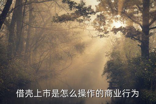 借壳上市是怎么操作的商业行为
