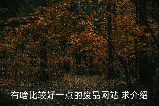 有啥比较好一点的废品网站 求介绍