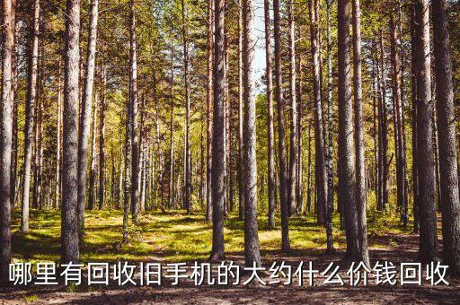 哪里有回收旧手机的大约什么价钱回收