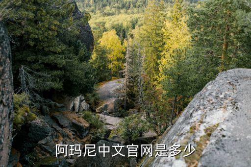 阿玛尼中文官网是多少