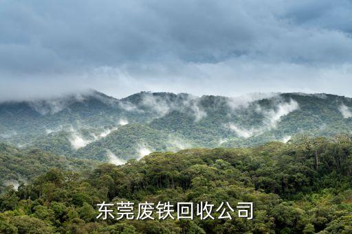 东莞废铁打包厂排行榜，东莞铁罐厂有多少啊哪家最好呢