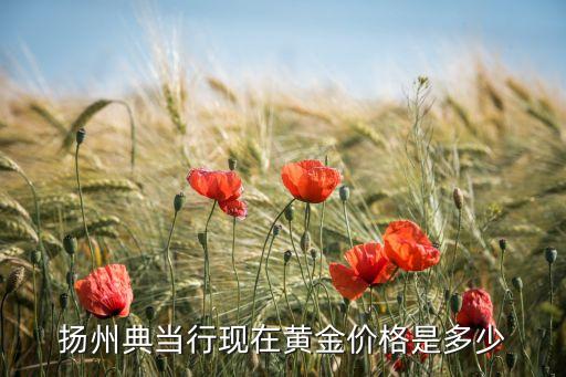 扬州典当行现在黄金价格是多少