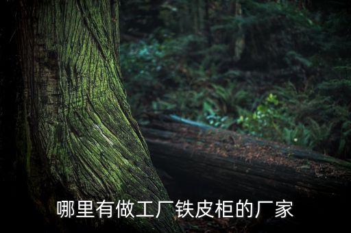 哪里有做工厂铁皮柜的厂家