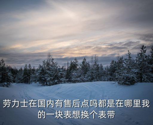 劳力士在哪保养，劳力士在国内有售后点吗都是在哪里我的一块表想换个表带