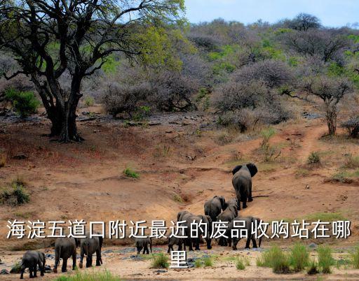 最近的废品回收站的地址，离信阳师院最近的废品回收站在哪