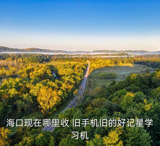 海口现在哪里收 旧手机旧的好记星学习机