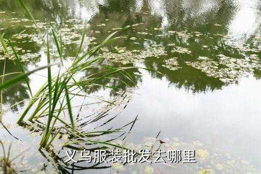 义乌服装批发去哪里