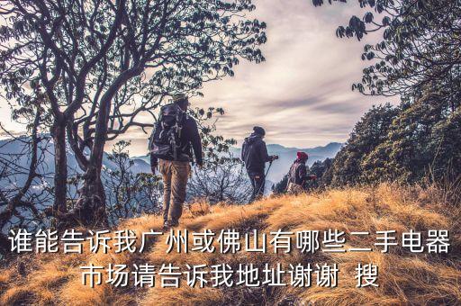 谁能告诉我广州或佛山有哪些二手电器市场请告诉我地址谢谢  搜