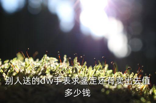 别人送的dw手表求鉴定还有卖出去值多少钱