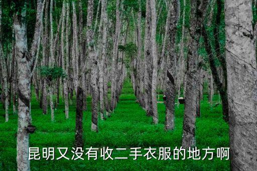 昆明又没有收二手衣服的地方啊