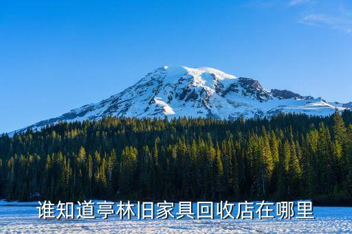 谁知道亭林旧家具回收店在哪里