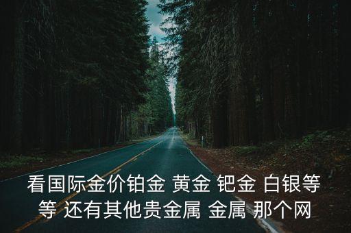 看国际金价铂金 黄金 钯金 白银等等 还有其他贵金属 金属 那个网