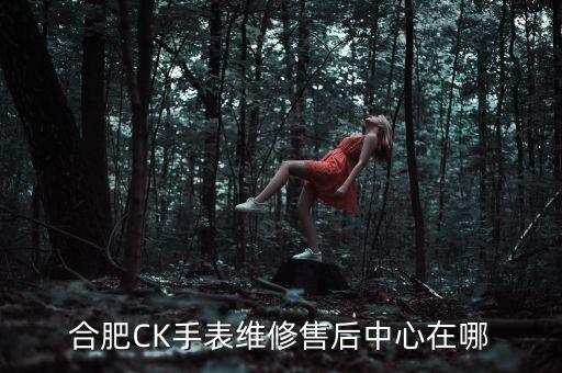 合肥劳力士客户服务中心地址，合肥可以维修劳力士的地方在那
