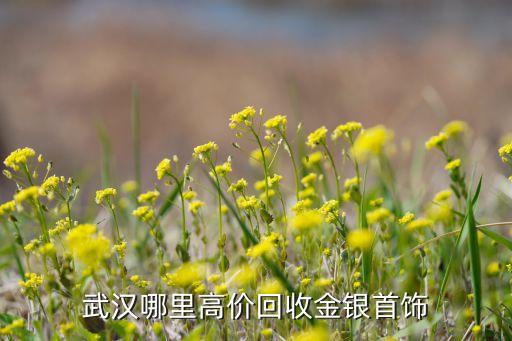 武汉上门收黄金那个价格高，武汉哪里高价回收金银首饰
