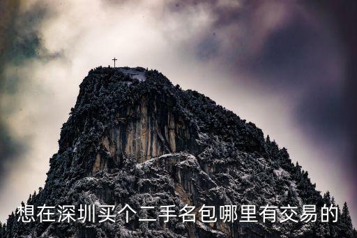 想在深圳买个二手名包哪里有交易的