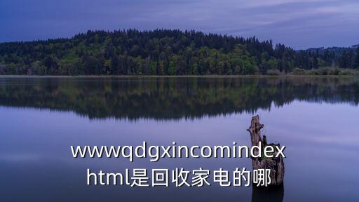 合肥二手家电回收上门电话多少，wwwqdgxincomindexhtml是回收家电的哪