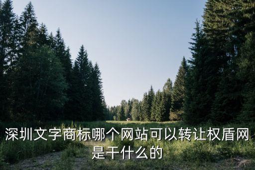 深圳文字商标哪个网站可以转让权盾网是干什么的