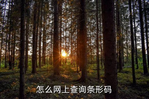 怎么网上查询条形码