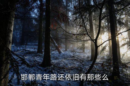 邯郸青年路还依旧有那些么