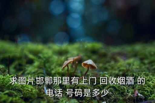 求图片邯郸那里有上门 回收烟酒 的电话 号码是多少