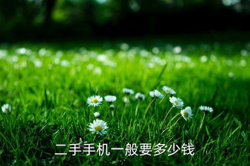 二手手机一般要多少钱