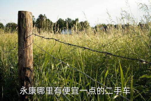 永康哪里有便宜一点的二手车