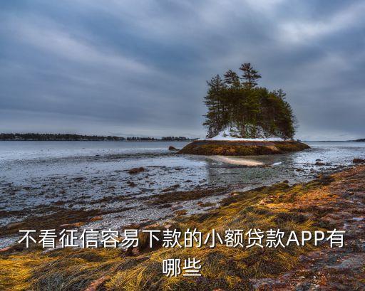 借50000不看征信秒下款，代款五万可以不看征信的小贷公司有吗