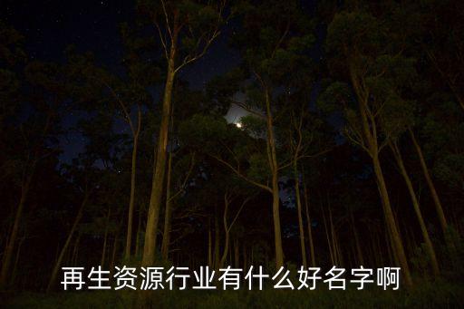 再生资源行业有什么好名字啊