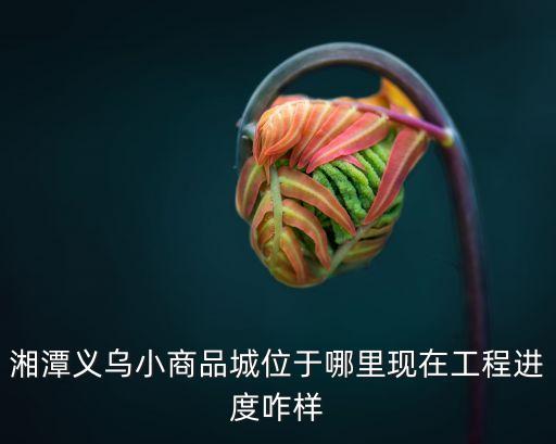 小商品城最新进展，哈尔滨义乌小商品城何时开工何时完成