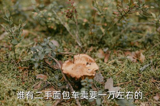 谁有二手面包车卖要一万左右的