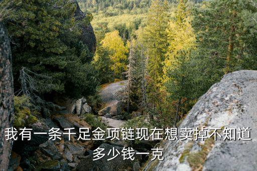 我有一条千足金项链现在想卖掉不知道多少钱一克