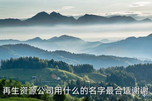 再生资源公司用什么的名字最合适谢谢