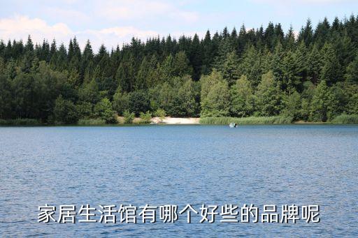 家居生活馆有哪个好些的品牌呢