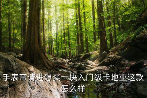 手表帝请进想买一块入门级卡地亚这款怎么样