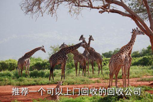推荐一个可以上门回收的回收公司