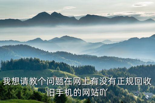 我想请教个问题在网上有没有正规回收旧手机的网站吖
