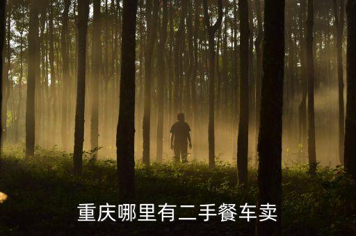 附近哪有二手电动餐车卖，重庆哪里有二手餐车卖
