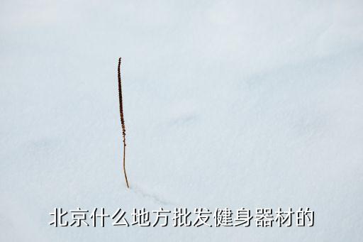 北京什么地方批发健身器材的