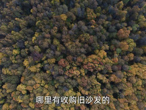 哪里有收购旧沙发的
