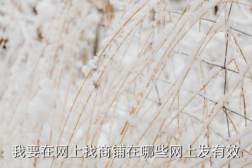 我要在网上找商铺在哪些网上发有效