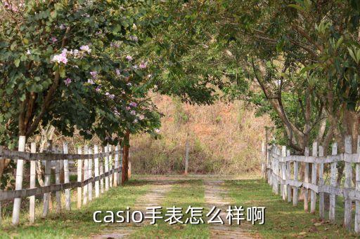 casio手表怎么样啊