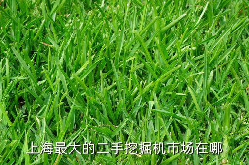 上海最大的二手挖掘机市场在哪